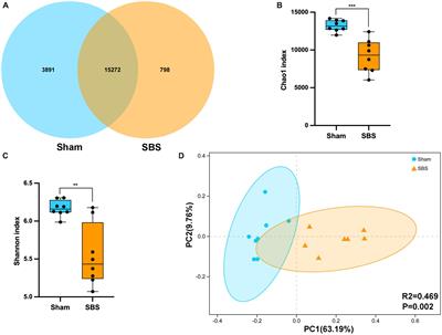 Altered fecal microbiome and metabolome profiles in rat models of short bowel syndrome